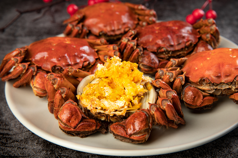 Yangcheng Lake Hairy Crab